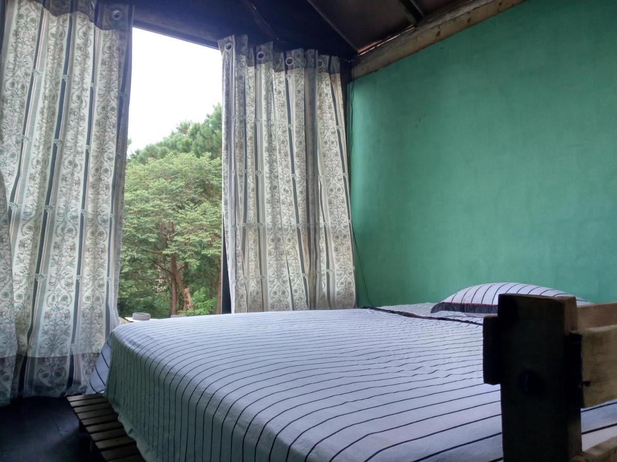 Castelinho Villa Florianópolis Eksteriør billede